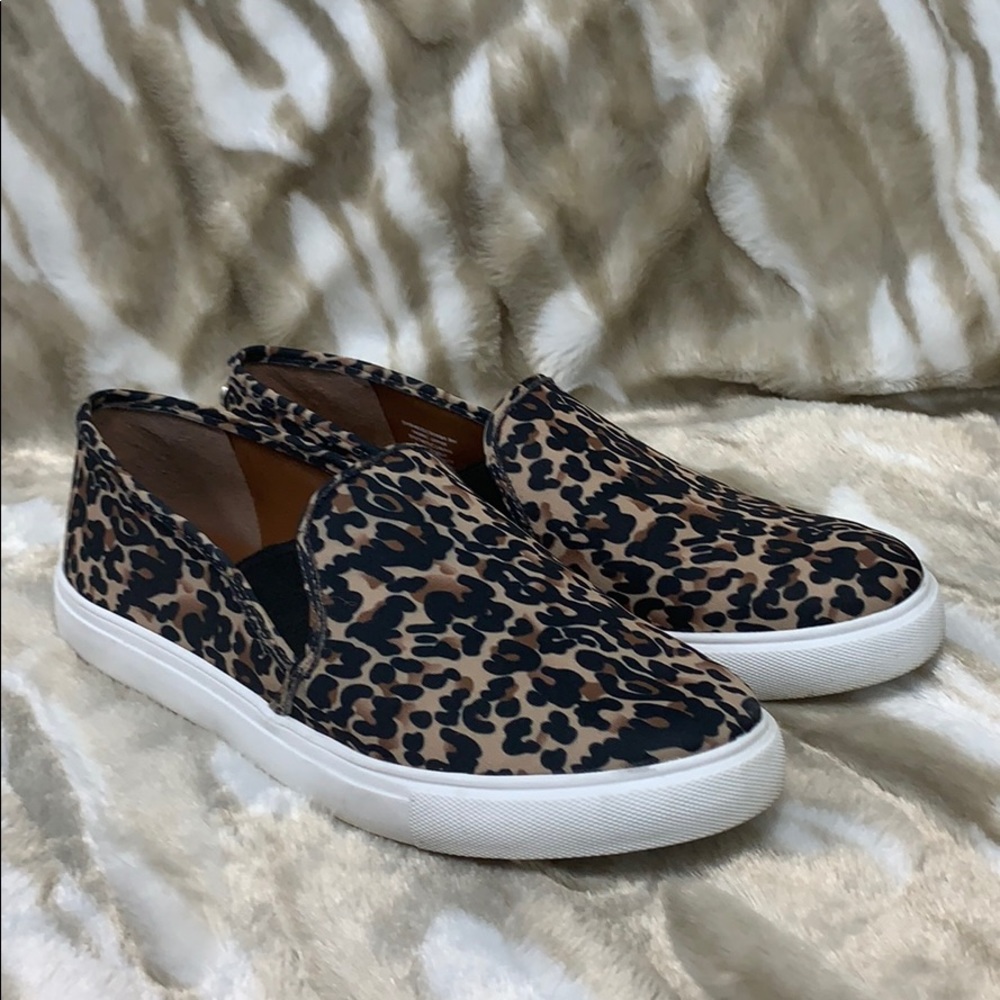 Cheetah Print slide in sneakers by Steve Madden